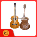 Guitar classic Dallas DL-Q39CE