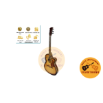 Đàn Guitar QUEEN’S AC - 104 Đóng Tại Việt Nam
