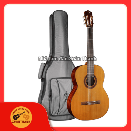 Đàn Guitar Classic Cordoba C5 CD Cedar
