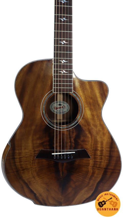 Đàn Guitar QUEEN’S C – 205G ĐƯỢC GIA CÔNG ĐÓNG Ở VIỆT NAM